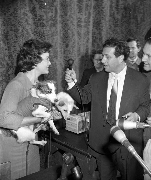 Hai chú chó Belka và Strelka, từng du hành vào vũ trụ, được phóng viên Đài phát thanh Moskva phỏng vấn, năm 1960 - Sputnik Việt Nam