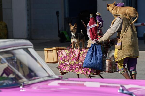 Một người đàn ông với hai con chó ở Havana - Sputnik Việt Nam