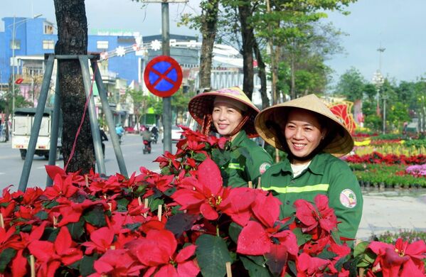 Công viên cây xanh Vinh đã huy động 100% nhân lực trang trí các đường hoa trên địa bàn thành phố Vinh (cũ) - Sputnik Việt Nam