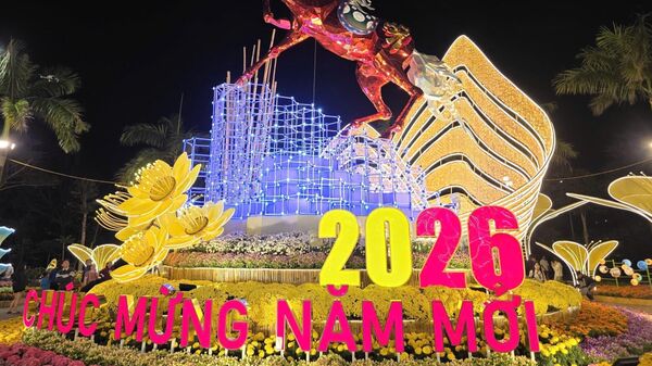 Linh vật ngựa của Xuân Bính Ngọ lung linh dưới ánh điện bên cạnh đường hoa Xuân Tuy Hòa - Sputnik Việt Nam