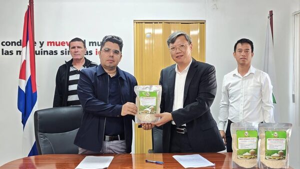 Bàn giao 250 tấn gạo CT16, giống lúa chất lượng cao của Việt Nam được gieo trồng và thu hoạch ngay tại vùng đất Los Palacios, tỉnh Pinar del Río cho phía Cuba - Sputnik Việt Nam