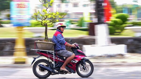 Người dân hối hả chở hoa trên đường phố, sắc xuân lan tỏa khắp các tuyến đường - Sputnik Việt Nam