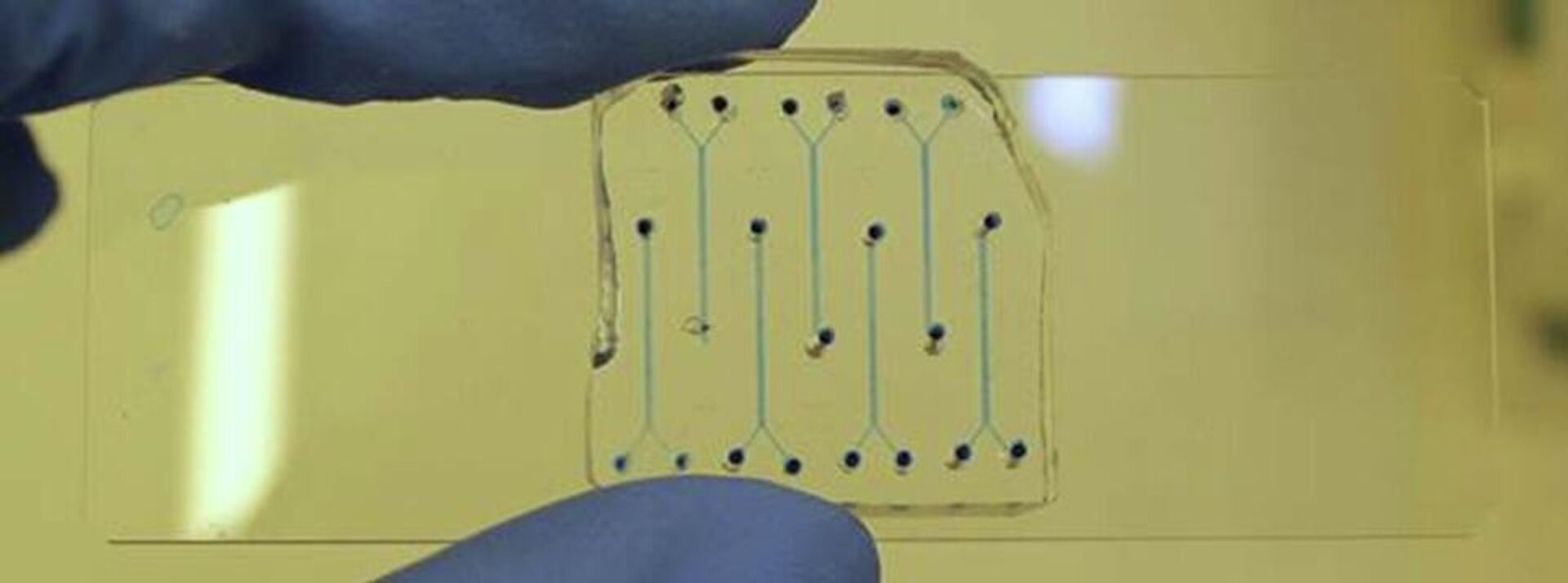 Chip vi lưu - Sputnik Việt Nam, 1920, 18.02.2026