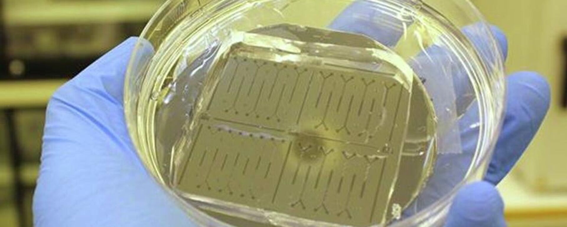 Mẫu chính để sản xuất chip vi lưu - Sputnik Việt Nam, 1920, 18.02.2026