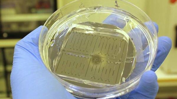 Mẫu chính để sản xuất chip vi lưu - Sputnik Việt Nam