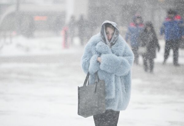 Tuyết rơi ở Moskva - Sputnik Việt Nam