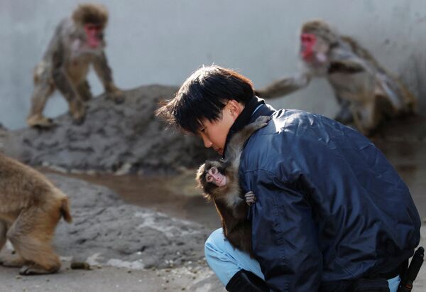 Bà mẹ nhồi bông của chú khỉ đuôi dài mồ côi: Câu chuyện cảm ...