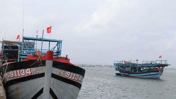 Đến nay 100% tàu cá được đánh dấu, kẻ số đăng ký đúng quy định và được đăng ký, cấp phép, cập nhật lên Cơ sở dữ liệu nghề cá quốc gia Việt Nam - Sputnik Việt Nam