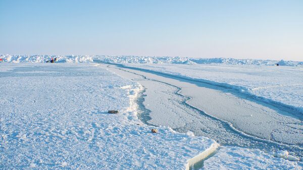 Bắc Cực - Sputnik Việt Nam