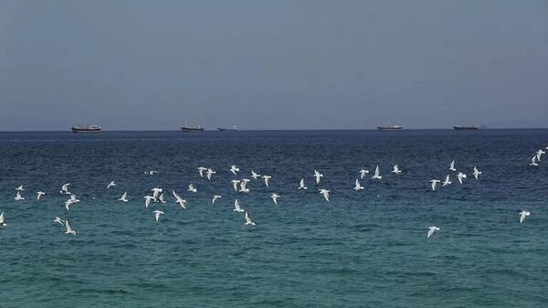 Những con tàu trong eo biển Hormuz - Sputnik Việt Nam