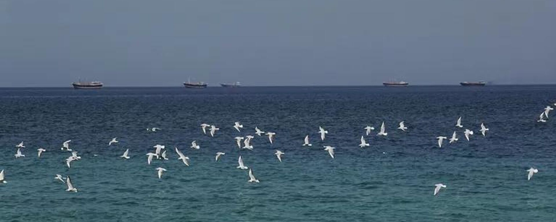 Những con tàu trong eo biển Hormuz - Sputnik Việt Nam, 1920, 07.03.2026