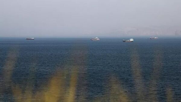Những con tàu trong eo biển Hormuz - Sputnik Việt Nam