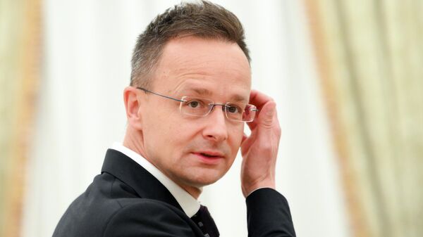 Bộ trưởng Ngoại giao Hungary Peter Szijjarto - Sputnik Việt Nam