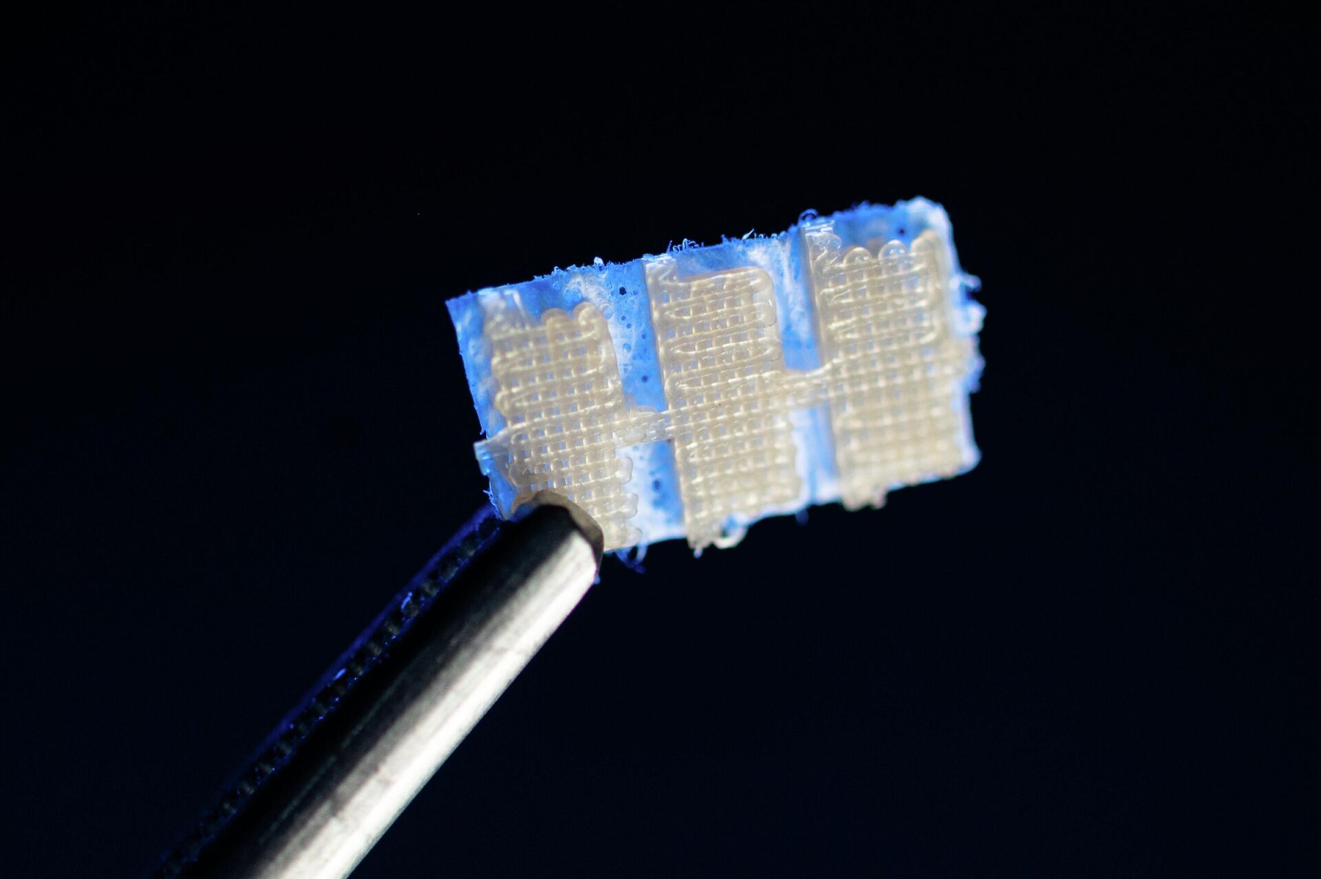 Mẫu mô sinh học tương đương được tạo ra trên máy in sinh học. - Sputnik Việt Nam, 1920, 30.03.2026