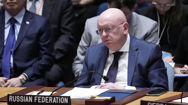 Ông Vasily Nebenzya, Đại diện thường trực của Nga tại Liên Hợp Quốc - Sputnik Việt Nam