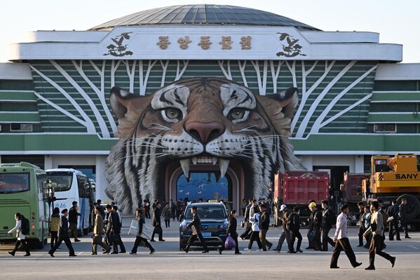 Vườn thú Trung tâm Bình Nhưỡng. - Sputnik Việt Nam