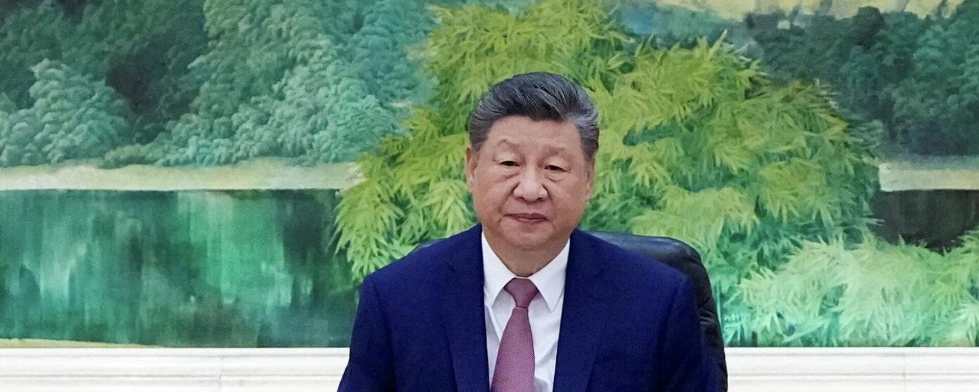 Chủ tịch Trung Quốc Tập Cận Bình - Sputnik Việt Nam, 1920, 15.04.2026