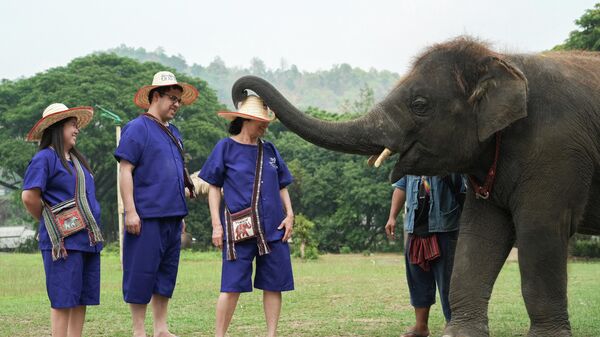 Посетители играют со слоном в парке для слонов Маетаенг, Таиланд - Sputnik Việt Nam
