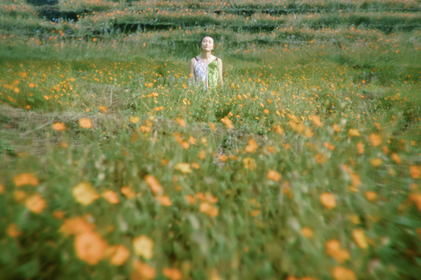 Mưa Trên Cánh Bướm - Sputnik Việt Nam