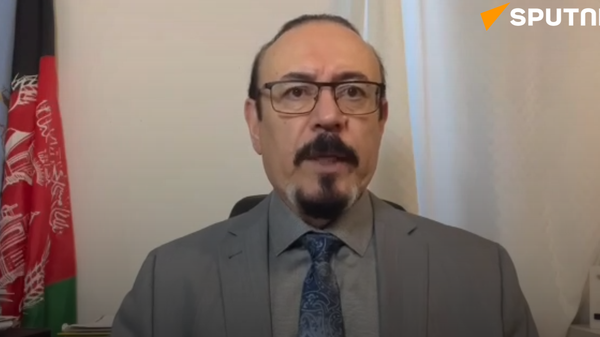 Chính trị gia chỉ trích NATO can thiệp vào chính trị nội bộ Afghanistan - Sputnik Việt Nam