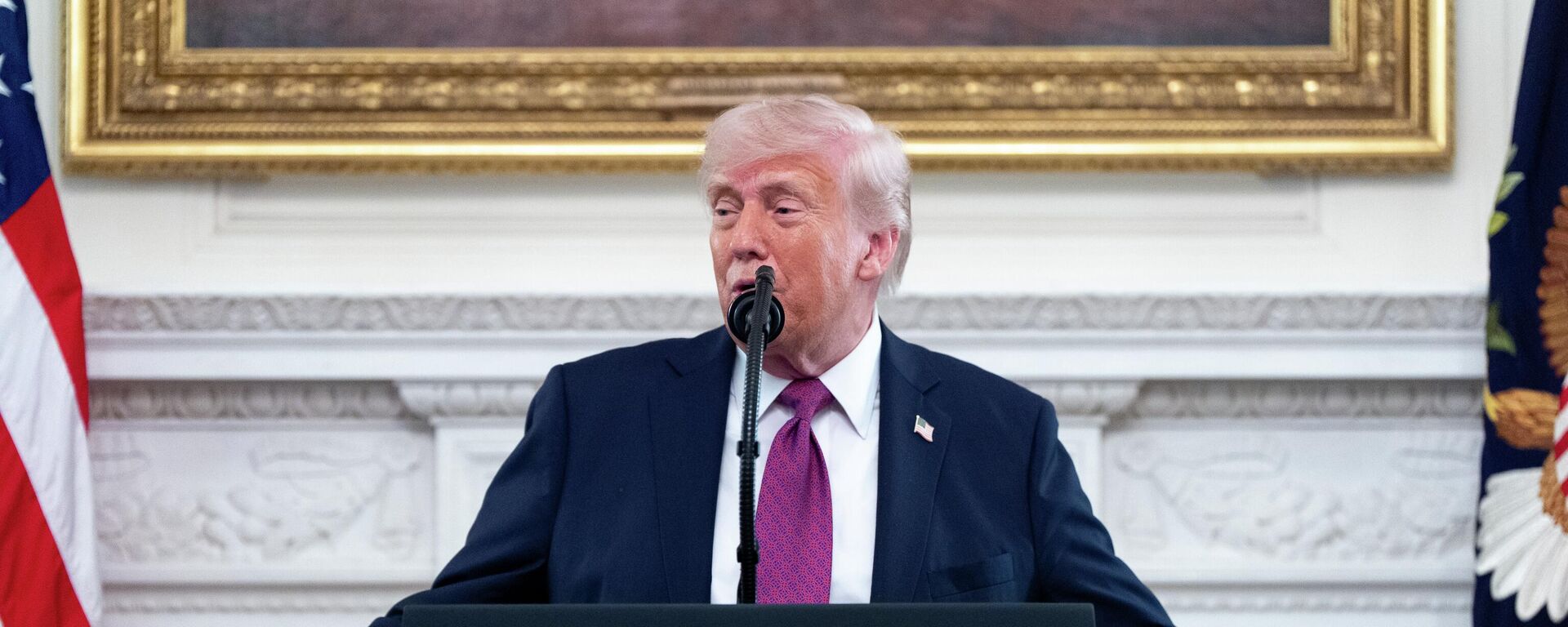 Tổng thống Mỹ Trump - Sputnik Việt Nam, 1920, 24.04.2026