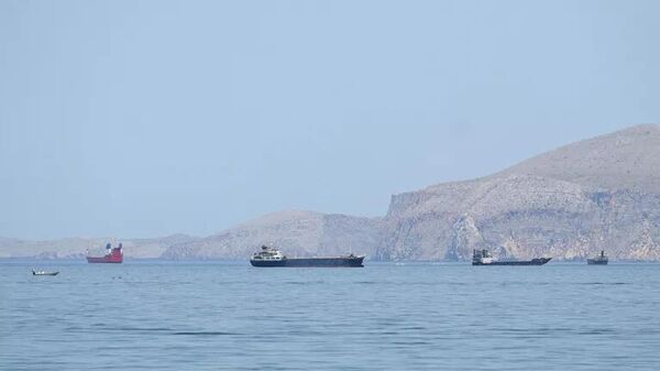 Những con tàu trong eo biển Hormuz - Sputnik Việt Nam