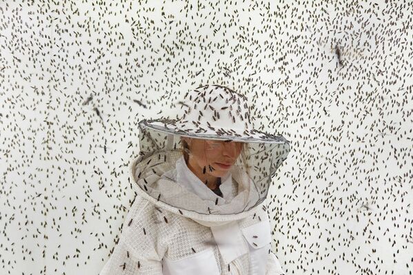 "Côn trùng – kiến trúc sư của tương lai bền vững" (Insects, architects of a sustainable future) – Maud Delaflotte, giải nhì hạng mục "Changemakers ", cuộc thi 2026 Environmental Photography Award. - Sputnik Việt Nam