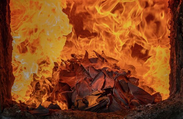 "Sinh ra cho đại dương, định mệnh cho ngọn lửa II" ( Born for the ocean, fated to the flames II) – Fernando Faciole, giải nhất hạng mục "Humanity vs Nature" , cuộc thi 2026 Environmental Photography Award. - Sputnik Việt Nam