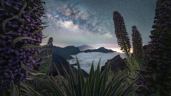 "Caldera Galaxy Panorama, Toàn cảnh thiên hà Caldera" – Max Terwindt, lọt vào danh sách 25 những tác phẩm đẹp nhất cuộc thi 2026 Milky Way Photographer of the Year. - Sputnik Việt Nam