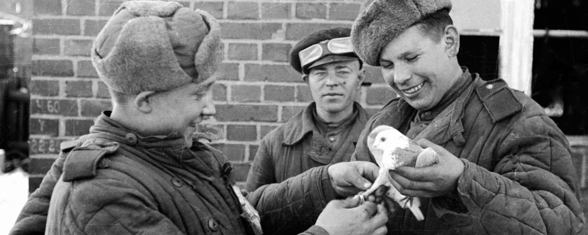 Vai trò của động vật trong Chiến tranh Vệ quốc vĩ đại như thế nào - Sputnik Việt Nam, 1920, 09.05.2026