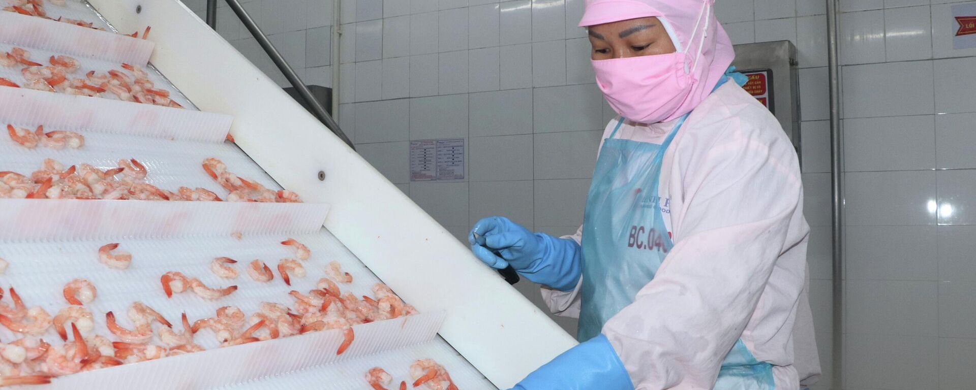 Ứng dụng công nghệ trong sản xuất chế biến tôm tại Tập đoàn thủy sản Minh Phú Ứng dụng công nghệ trong sản xuất chế biến tôm tại Tập đoàn thủy sản Minh Phú - Sputnik Việt Nam, 1920, 13.05.2026