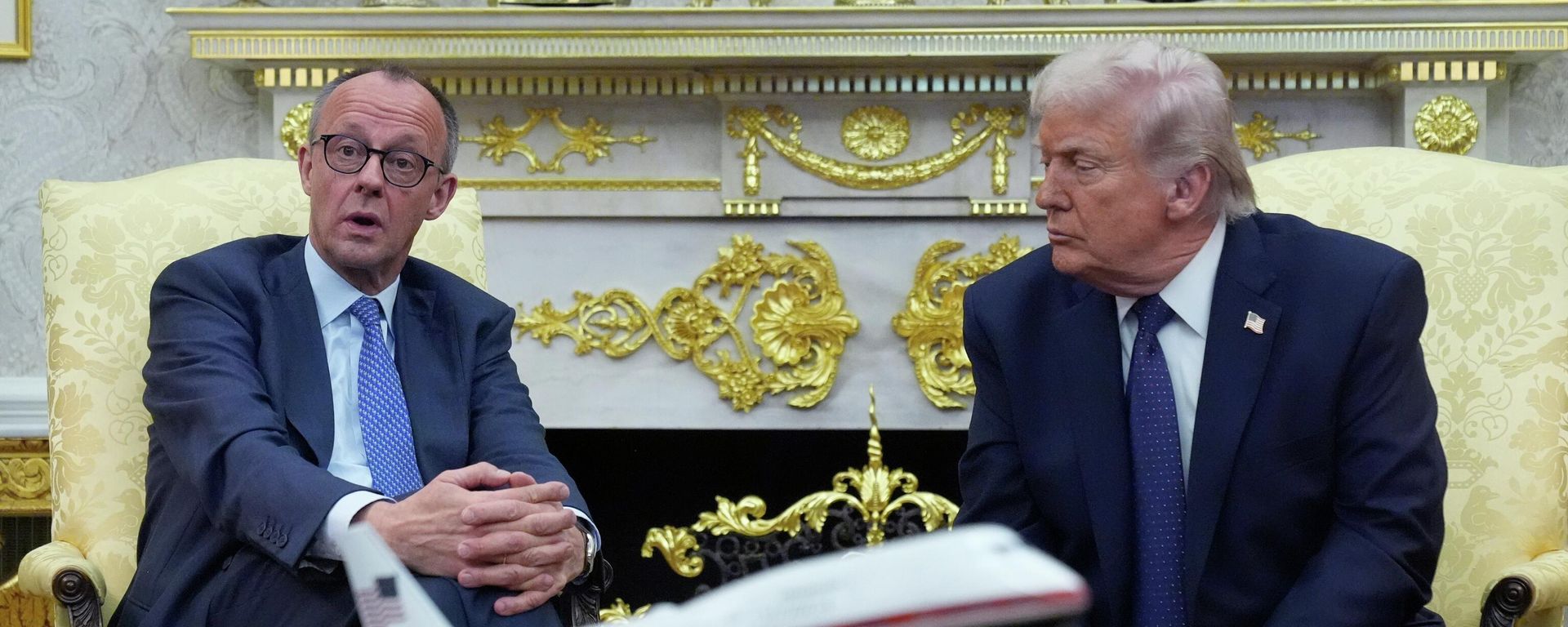 Tổng thống Donald Trump gặp gỡ Thủ tướng Đức Friedrich Merz - Sputnik Việt Nam, 1920, 14.05.2026