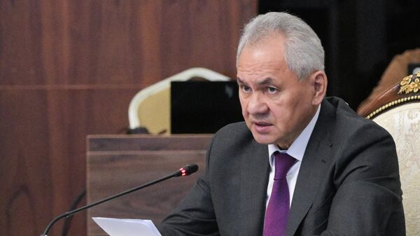 Thư ký Hội đồng An ninh Nga Sergei Shoigu - Sputnik Việt Nam