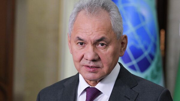 Thư ký Hội đồng An ninh Nga Sergei Shoigu - Sputnik Việt Nam
