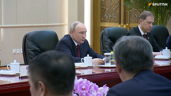 Tổng thống Vladimir Putin mời ông Tập Cận Bình thăm Nga vào năm 2027 - Sputnik Việt Nam