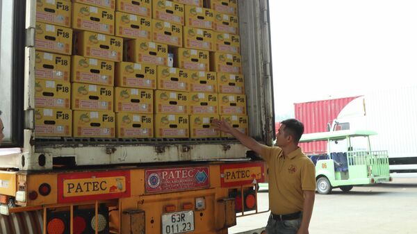 Sầu riêng quả tươi được bảo quản trong thùng bìa cứng đảm bảo tiêu chuẩn - Sputnik Việt Nam