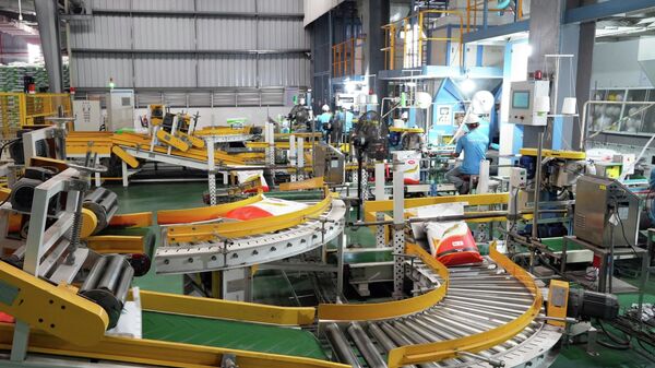 Công nhân sản xuất tại Công ty TNHH Hải Đại (Khu công nghiệp Hòa Phú, xã Phú Quới, tỉnh Vĩnh Long) - Sputnik Việt Nam