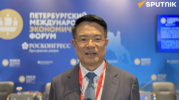 Viện trưởng Nguyễn Huy Tiến: Việt Nam không hình sự hóa quan hệ kinh tế - Sputnik Việt Nam