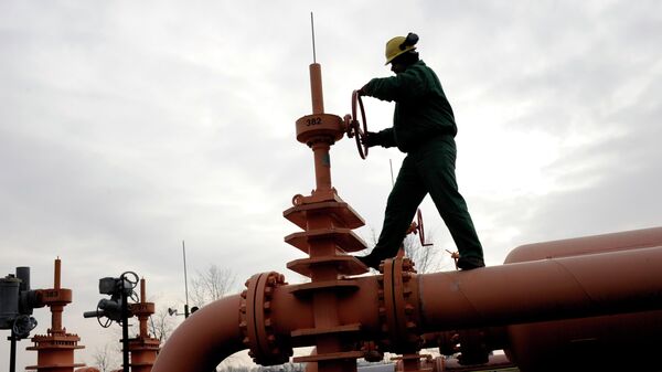 Một nhân viên của công ty Mol Natural Gas Transporting Corp. của Hungary. - Sputnik Việt Nam
