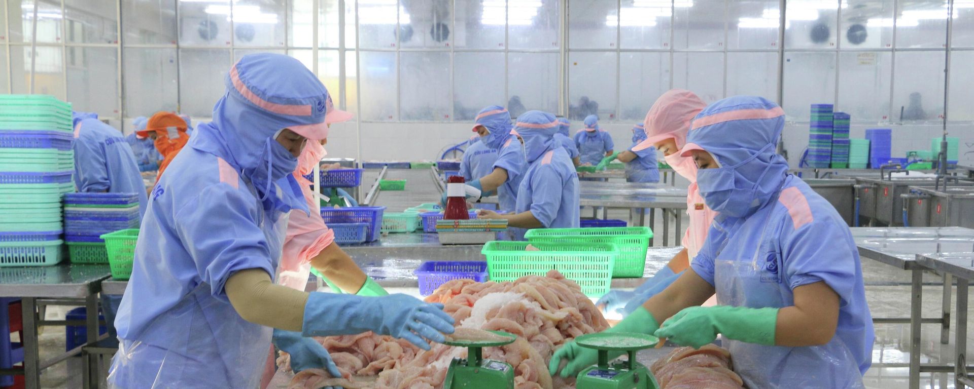 Mặt hàng thủy sản đông lạnh 5 đầu năm 2026 đạt 143,4 ngàn tấn, tăng 25,35% so với cùng kỳ, trong đó, cá tra phi lê đông lạnh tăng 35,11% so với cùng kỳ - Sputnik Việt Nam, 1920, 07.08.2026