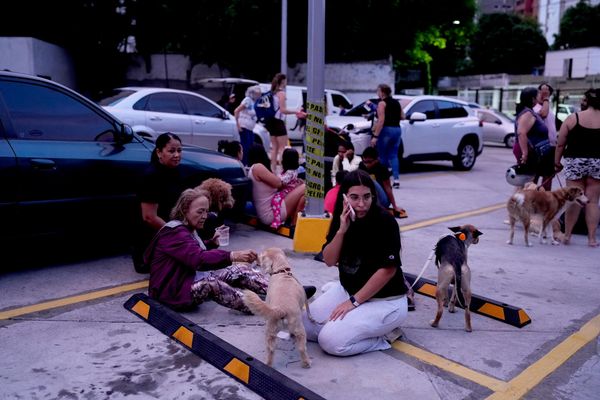 Mọi người cùng thú cưng trên đường phố sau trận động đất ở Venezuela. - Sputnik Việt Nam
