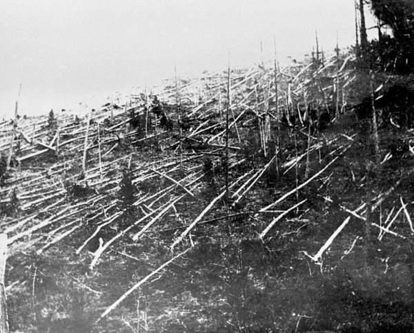 Khu vực rơi của thiên thạch Tunguska. - Sputnik Việt Nam