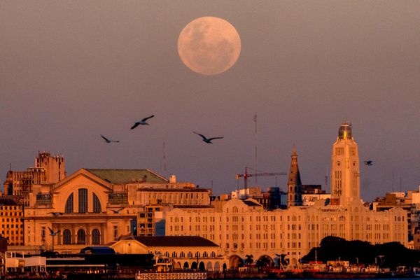 Mặt trăng trên Montevideo, Uruguay - Sputnik Việt Nam