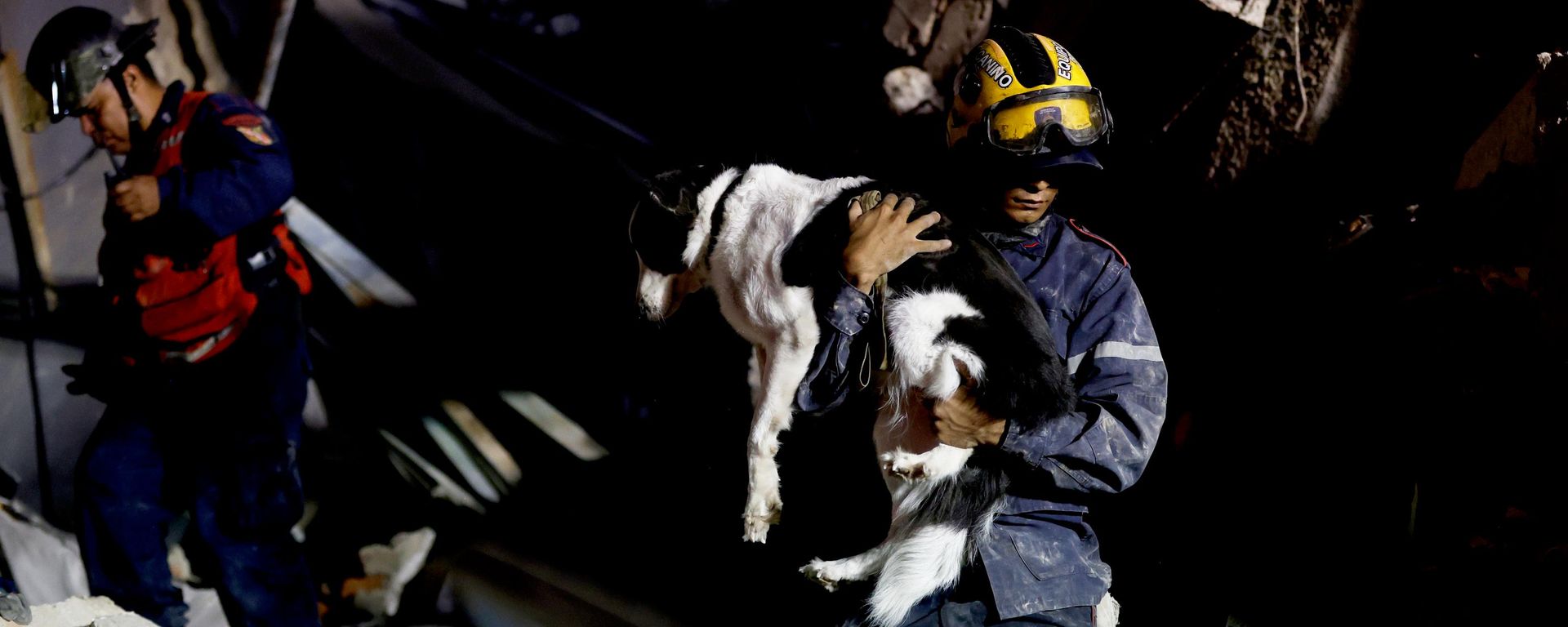 Lính cứu hỏa cứu một chú chó từ tòa nhà bị sập sau trận động đất. Caracas, Venezuela, ngày 24 tháng 6 năm 2026 - Sputnik Việt Nam, 1920, 12.08.2026