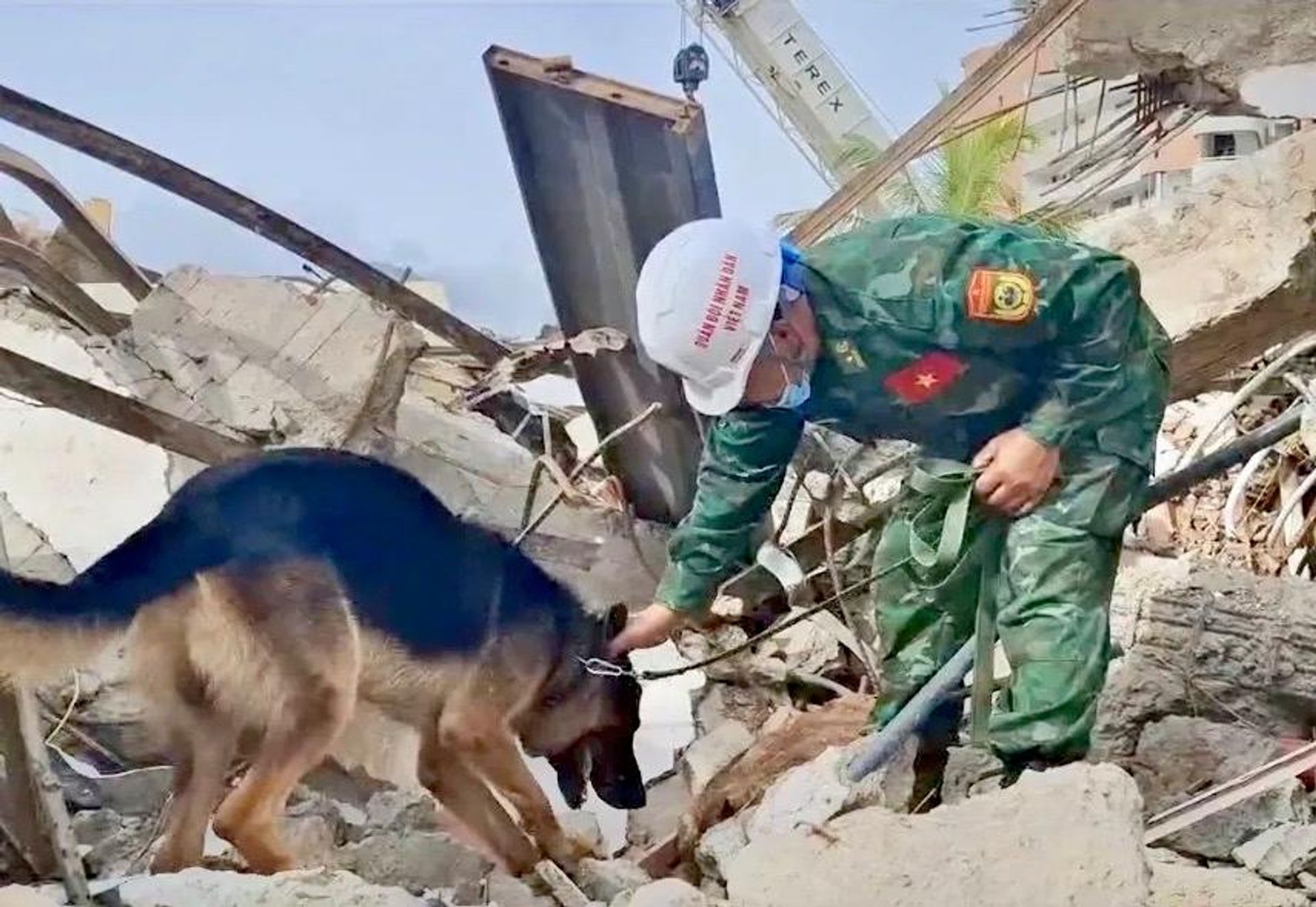 Quân khuyển Việt Nam phát hiện nguồn hơi nạn nhân mắc kẹt trong đống đổ nát - Sputnik Việt Nam, 1920, 06.07.2026