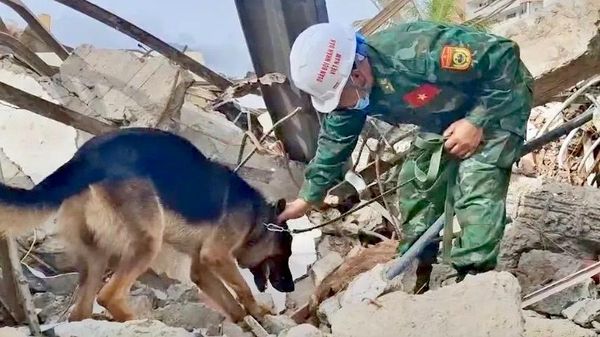 Вьетнамские военные собаки обнаруживают запах жертв, оказавшихся под завалами, Венесуэла - Sputnik Việt Nam