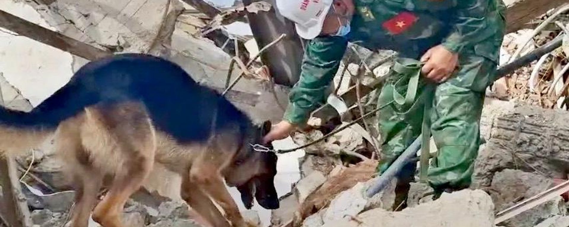 Quân khuyển Việt Nam phát hiện nguồn hơi nạn nhân mắc kẹt trong đống đổ nát - Sputnik Việt Nam, 1920, 07.07.2026