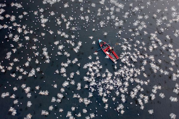 Bức ảnh "Gliding through Serenity" của nhiếp ảnh gia Bangladesh Azim Khan Ronnie, giành chiến thắng tại cuộc thi The 2nd International Aerial Photographer of the Year 2026. - Sputnik Việt Nam