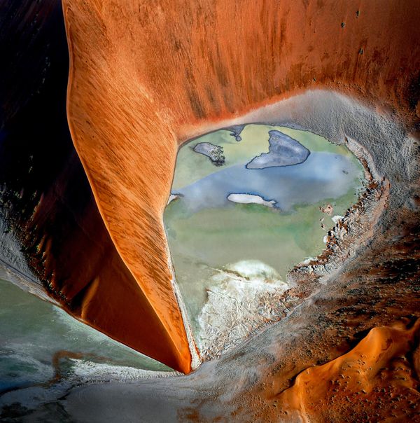 Bức ảnh "Mud Trees" của nhiếp ảnh gia Úc Barbara Brown, đạt giải ba tại cuộc thi The 2nd International Aerial Photographer of the Year 2026. - Sputnik Việt Nam