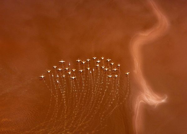 Bức ảnh "Natures Calligraphy" của nhiếp ảnh gia Emirates Venkiteswaran Ramasubhramoni, lọt vào TOP 101 của cuộc thi The 2nd International Aerial Photographer of the Year 2026. - Sputnik Việt Nam
